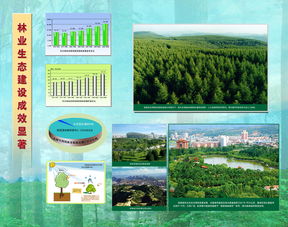 林業(yè)生態(tài)建設(shè)成效顯著，推動(dòng)可持續(xù)發(fā)展