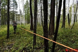 林業(yè)調(diào)查規(guī)劃的探路人 工業(yè)發(fā)展中的綠色導(dǎo)航者