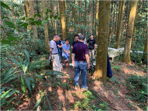 國(guó)家生態(tài)系統(tǒng)觀測(cè)研究網(wǎng)絡(luò)的商業(yè)價(jià)值與發(fā)展前景