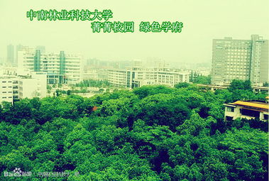 中國(guó)好大學(xué)之中南林業(yè)科技大學(xué) 林業(yè)學(xué)科的特色與優(yōu)勢(shì)