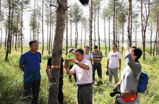 佳木斯商業(yè) 東北邊陲城市的經(jīng)濟(jì)發(fā)展與機(jī)遇