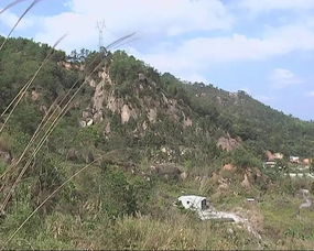 清明祭掃無火險(xiǎn)，綠色安全共守護(hù)——林業(yè)部門提醒商業(yè)機(jī)構(gòu)與公眾防火責(zé)任