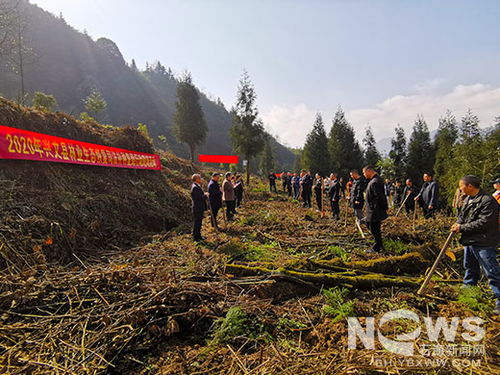 我縣開展林業(yè)生態(tài)恢復(fù)司法補(bǔ)種復(fù)綠活動(dòng)