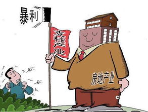 面對房產泡沫 房地產業(yè)的應對之道